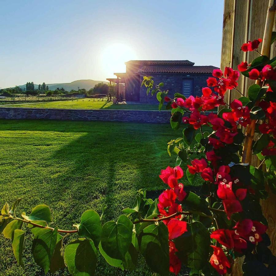 Lithos Villas Skala Eresou Luaran gambar